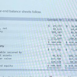 Express the balance sheets in common size percents