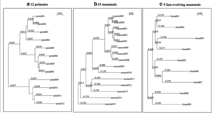 Creating phylogenetic trees from dna sequences answers